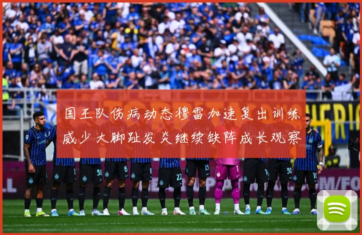 国王队伤病动态穆雷加速复出训练威少大脚趾发炎继续缺阵成长观察：最新赛事动态与深度分析