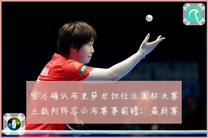 官方确认布里萨尔担任法国杯决赛主裁判阵容公布赛事前瞻：最新赛事动态与深度分析